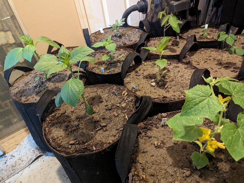 Cooler Spring And Fall Temperatures Reduce Water Needs