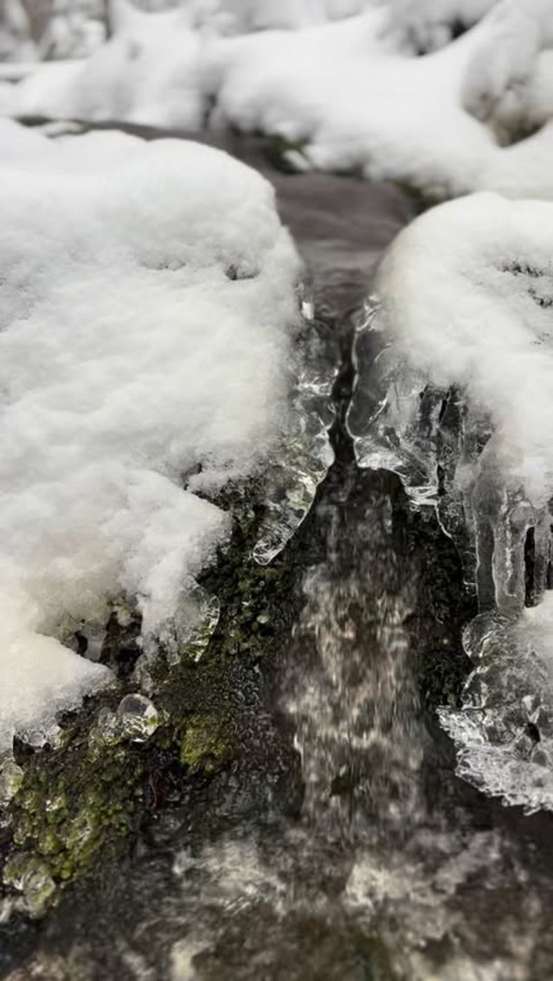 Wind Patterns Distribute Frost Unevenly