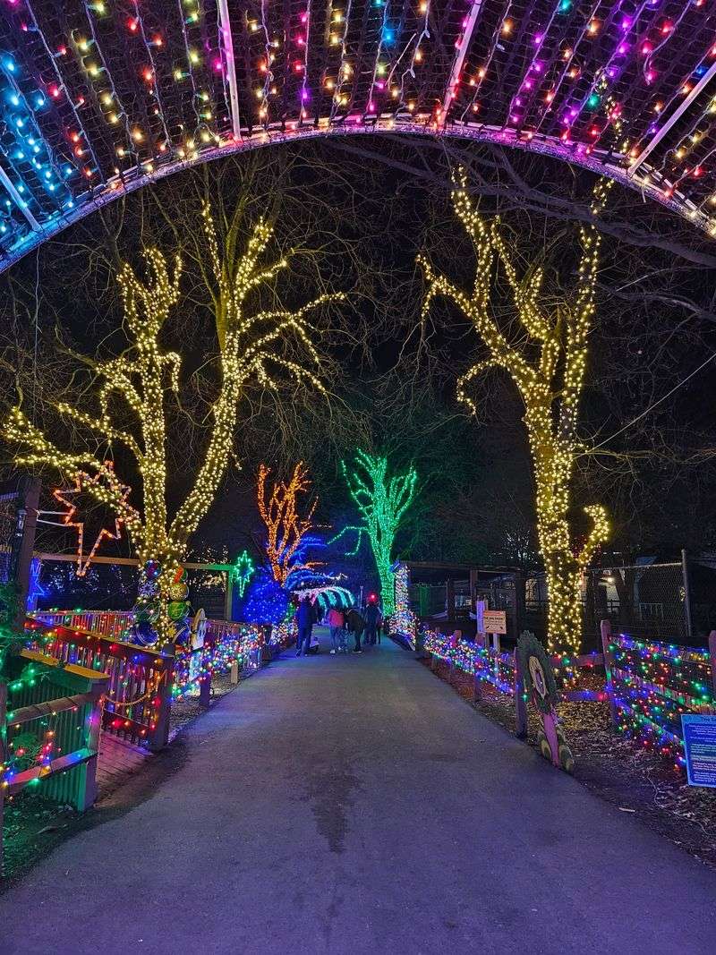 Lehigh Valley Zoo Winter Light Spectacular