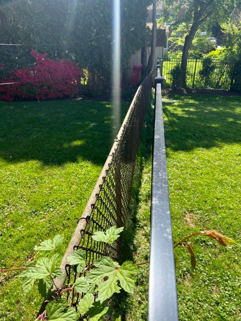 Adverse Possession Doesn't Apply To Annual Crops