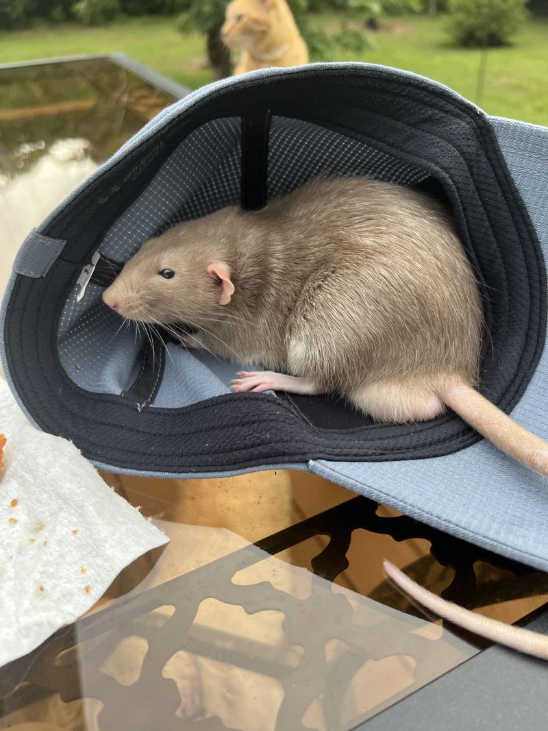 Prevention Measures You Can Take