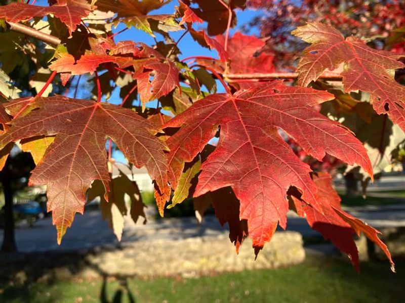 Good Communication Beats Legal Action Every Time