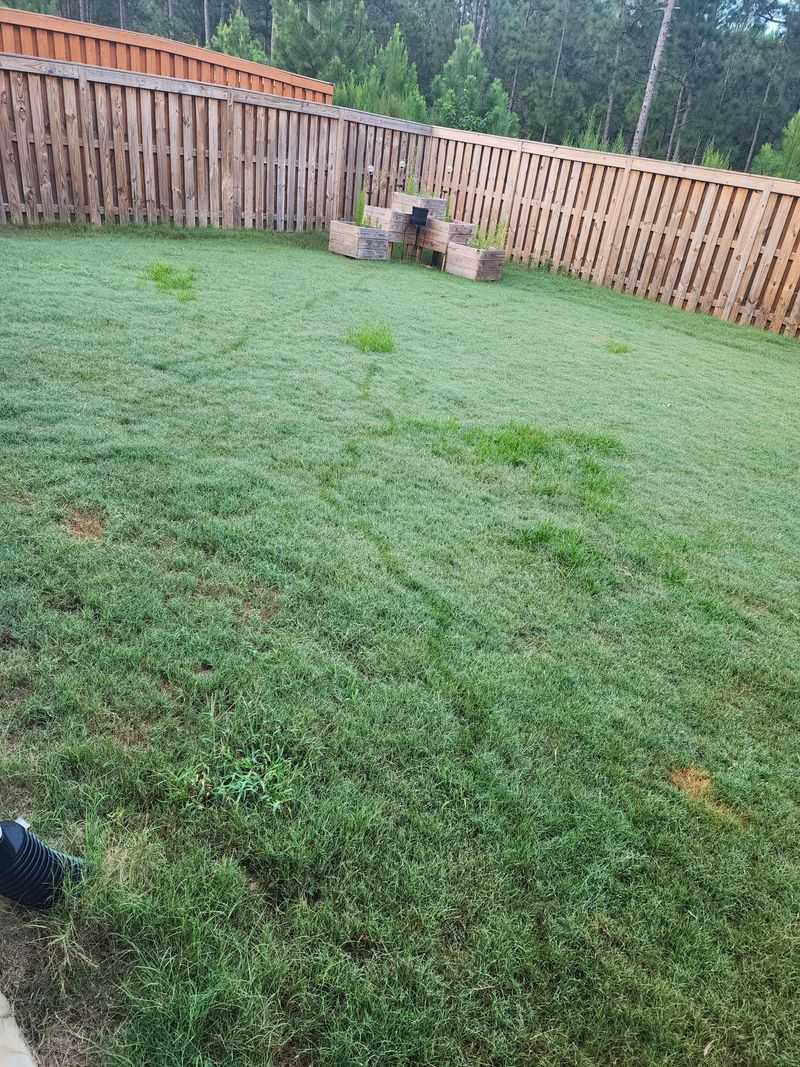 Mysterious Tracks In Soft Soil