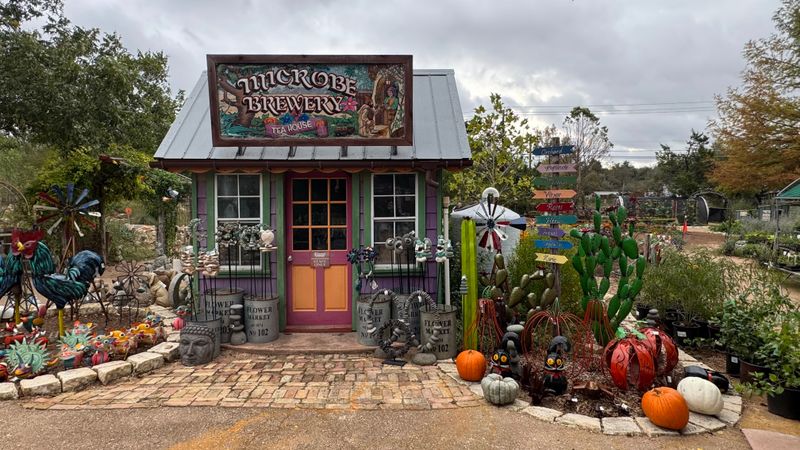 Natural Gardener Emphasizes Organic Solutions For Every Season