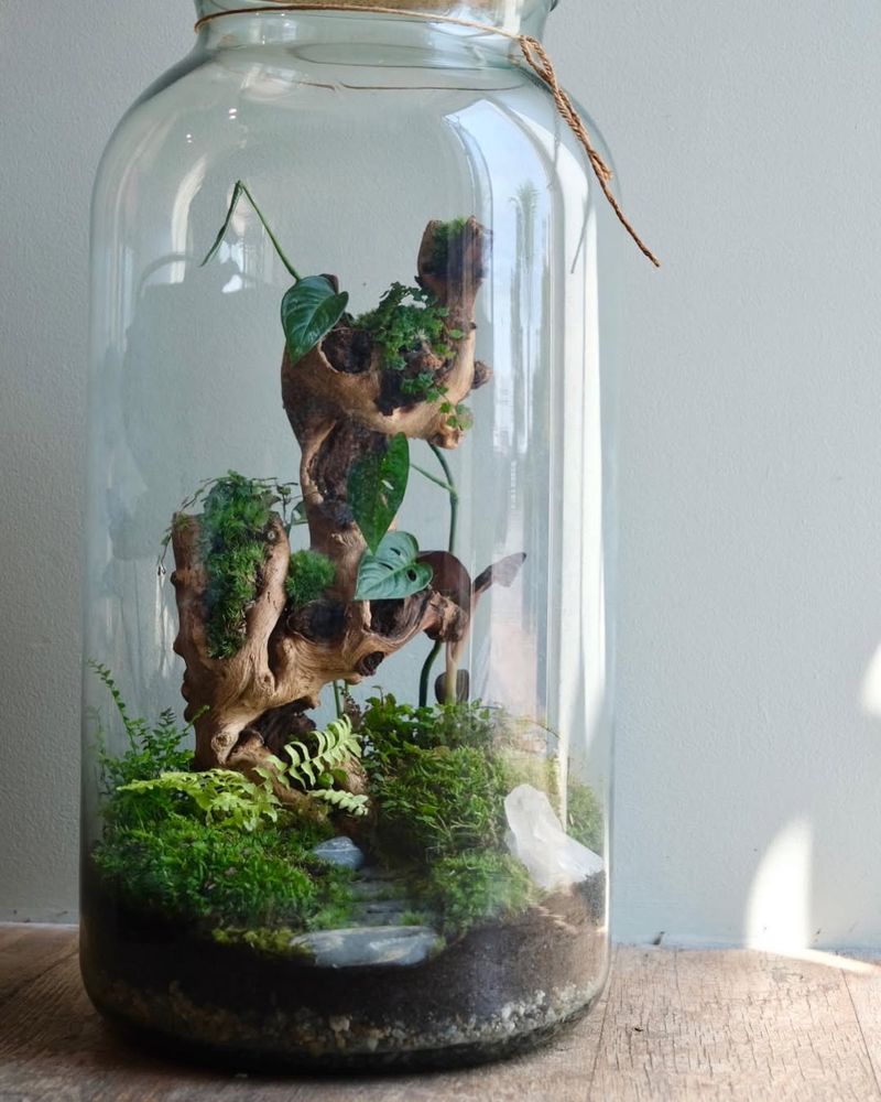 Mason Jar Sprouting Stations