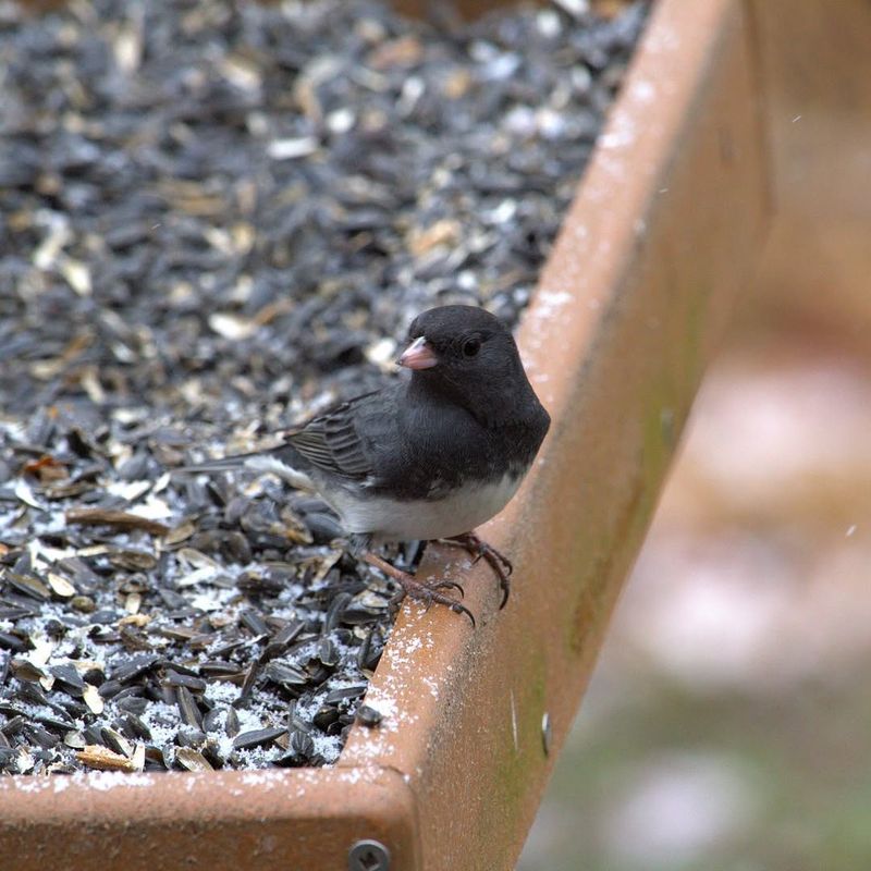 Reduced Competition For Resources