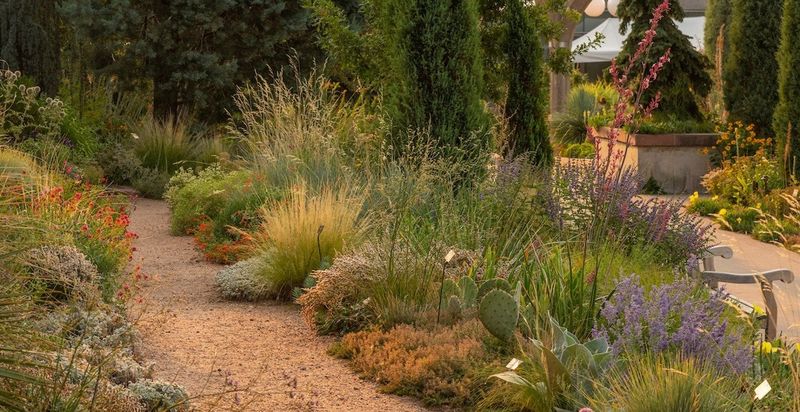 Compliance With Water Restrictions and Regulations