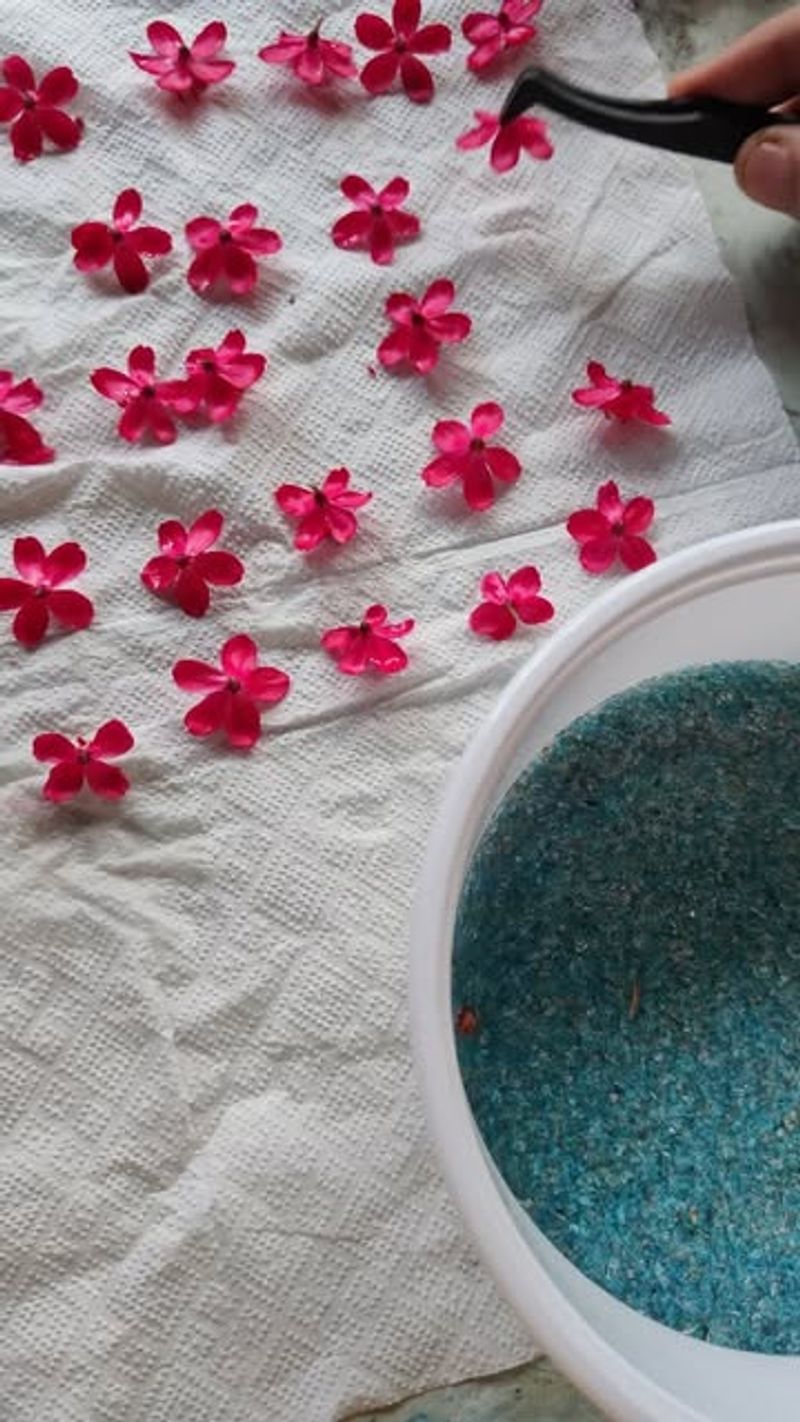 Glycerin Solution Preservation