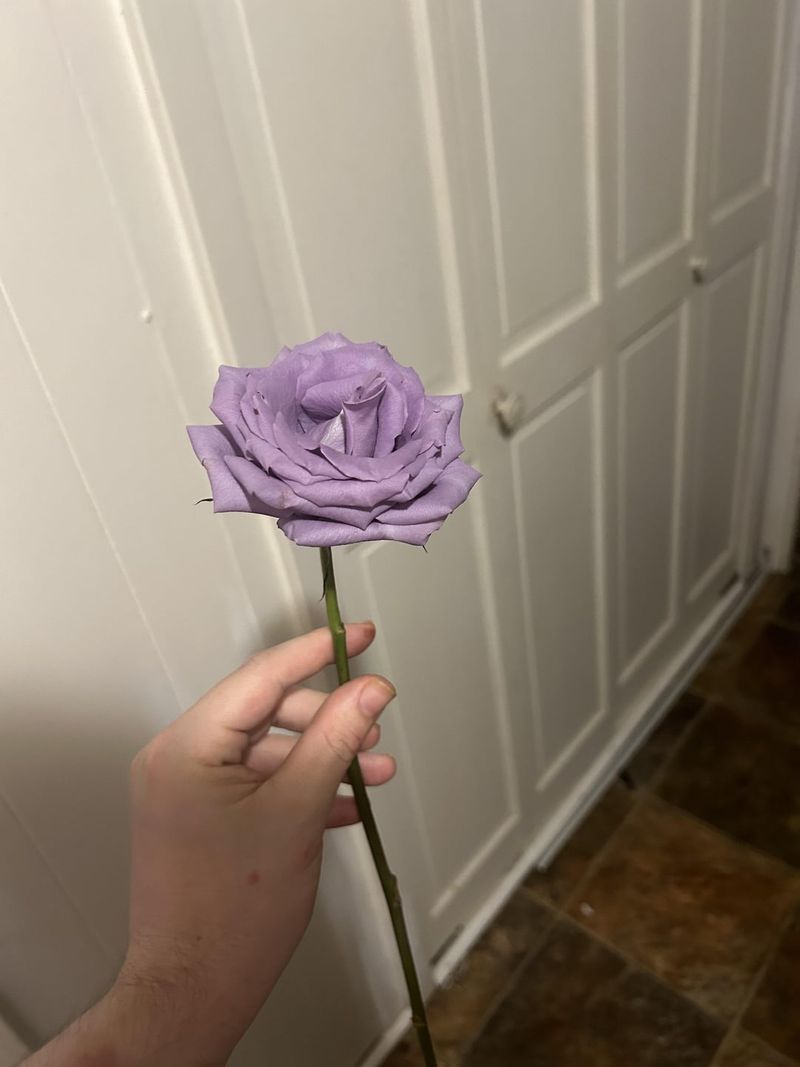 Hairspray Coating Technique