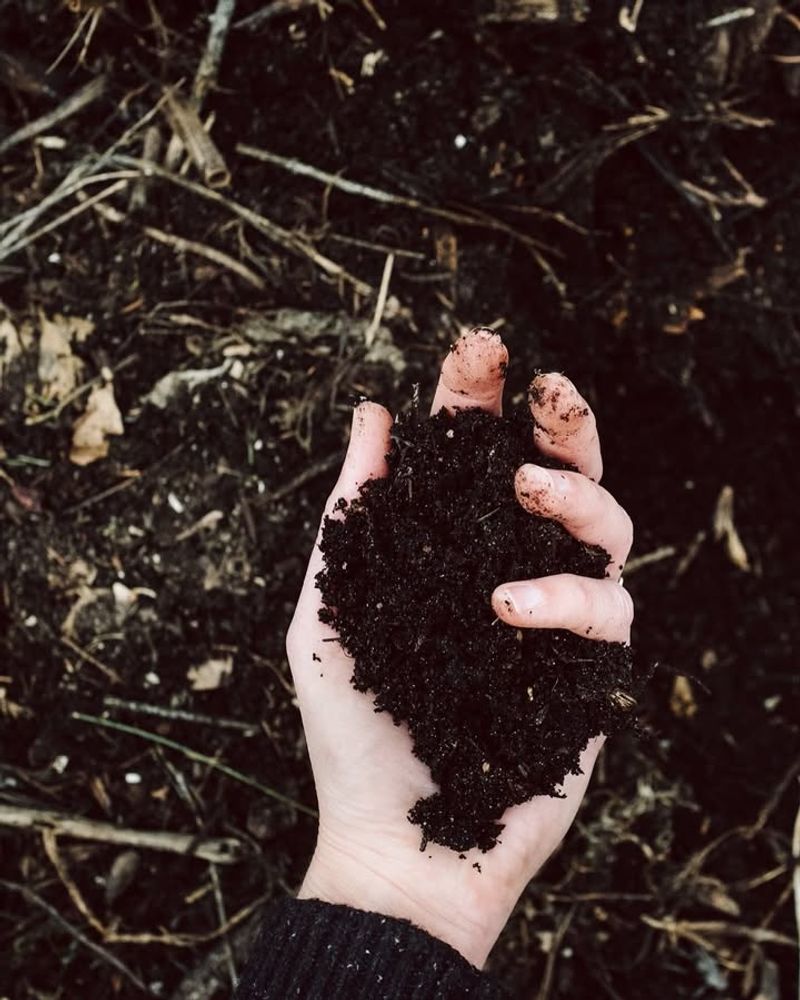 Navigating Challenges And Concerns Under The New System