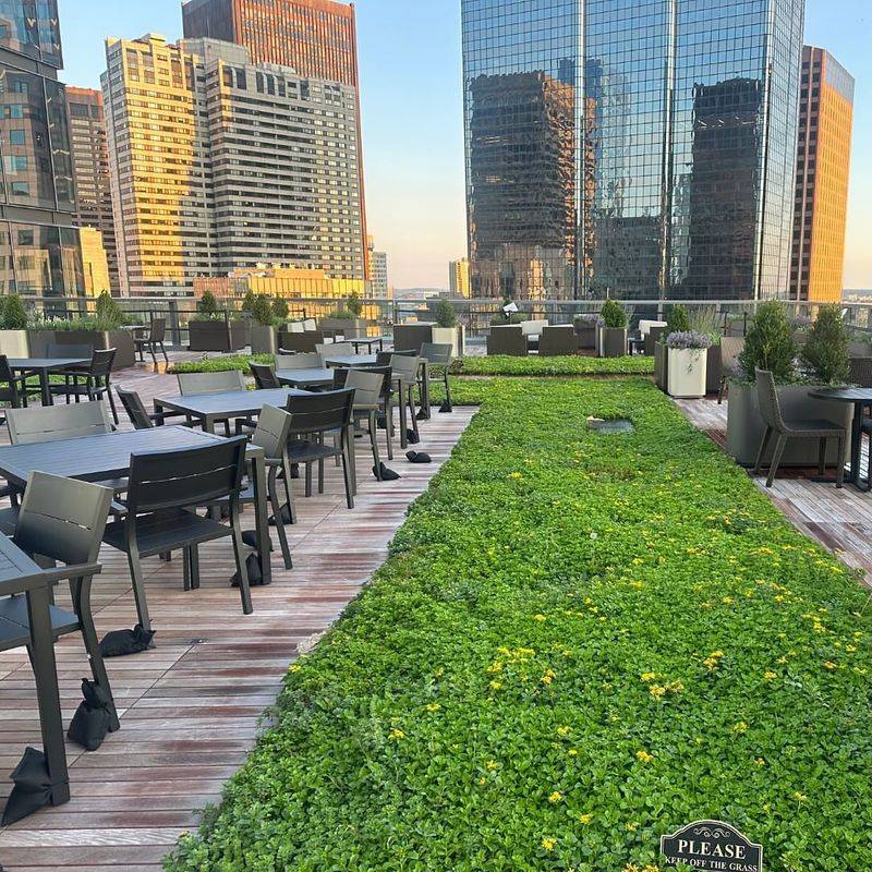 Aesthetic Appeal Increases Property Values