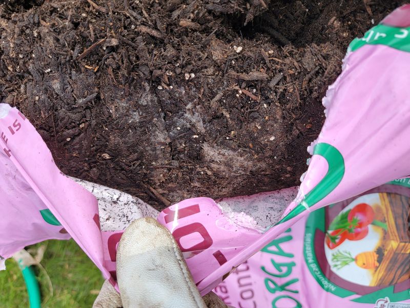 Using Damaged Or Contaminated Soil