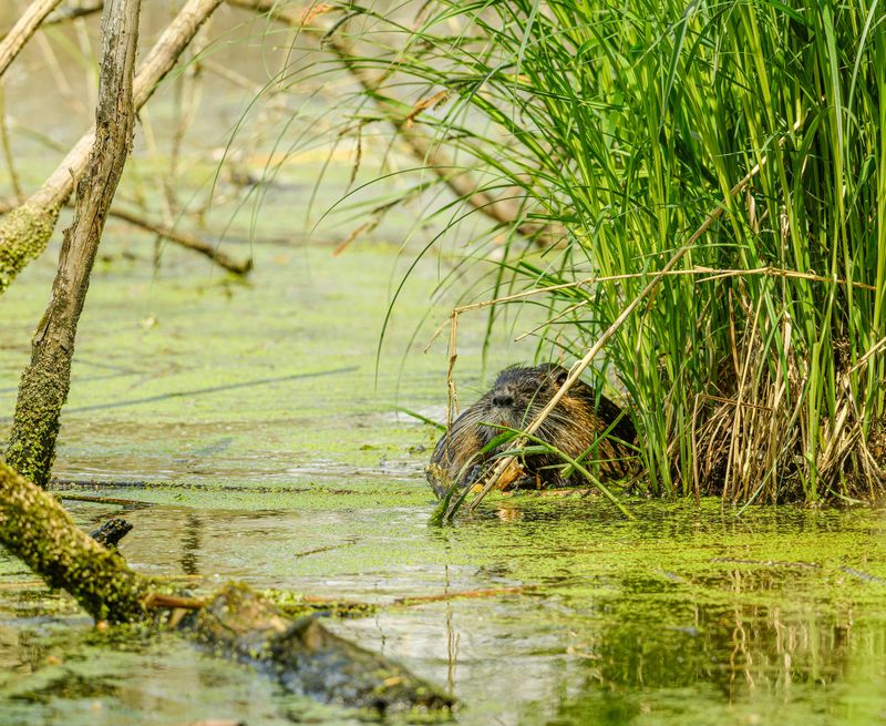 Changes In Water Level Without Explanation