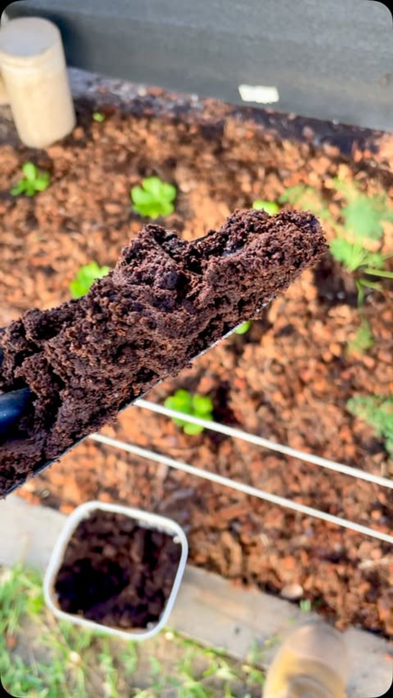 Organic Matter For Sandy Soil Improvement