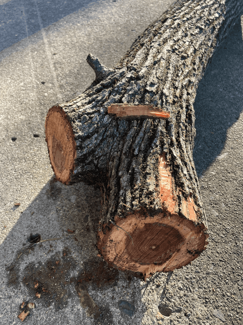 Prevention Strategies Protect Everyone Involved