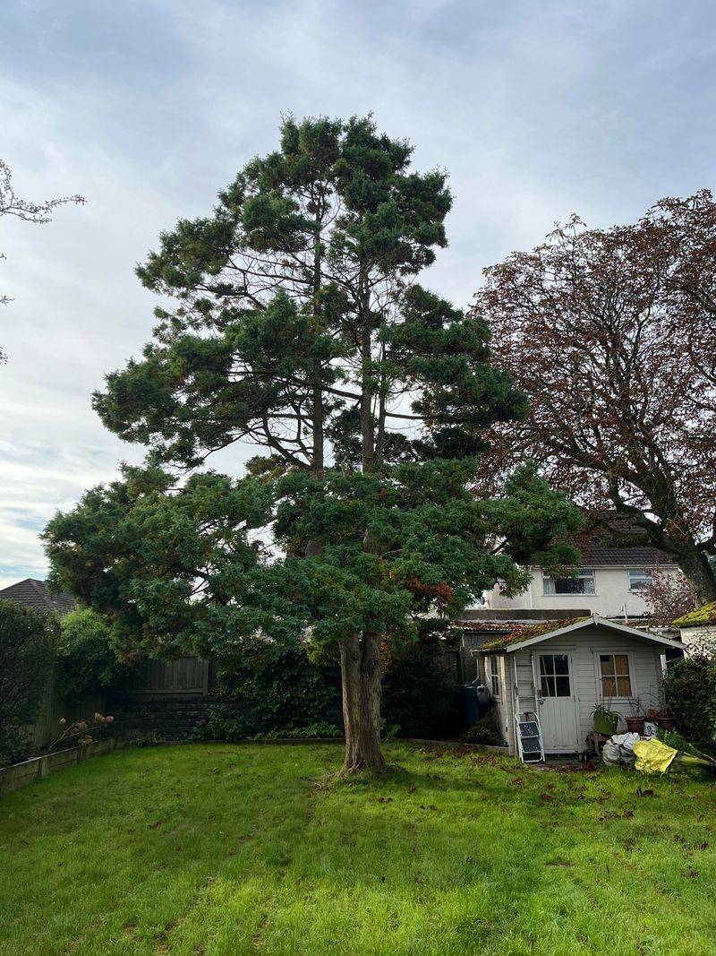 Preventive Measures Protect Both Properties And Relationships