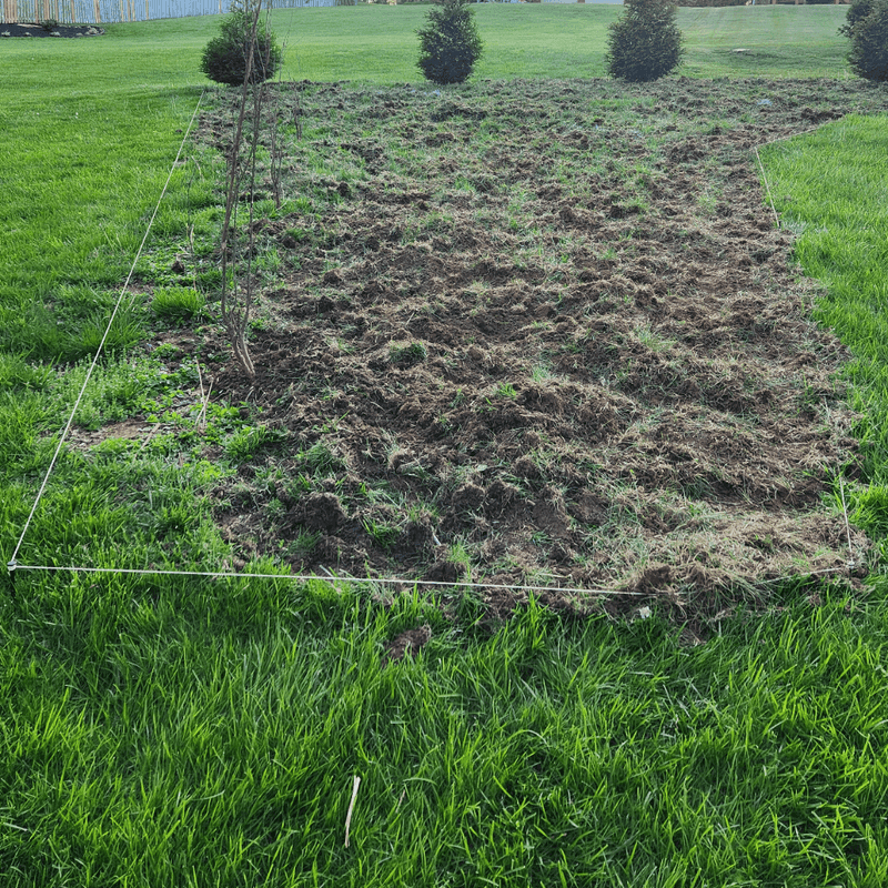 Soil Preparation Sets Up Long-Term Success