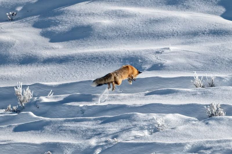 Stay Calm And Observe From A Distance