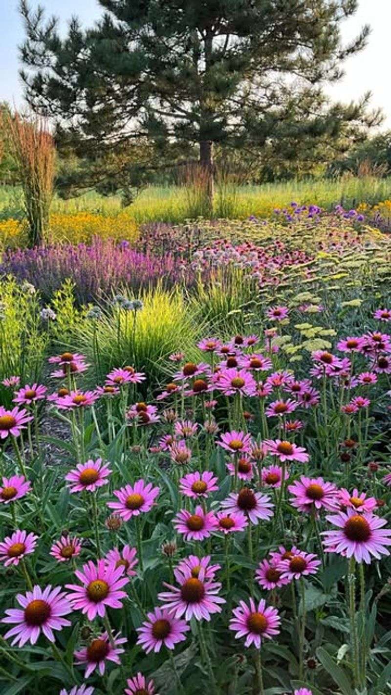 Minimal Maintenance Fits Busy Lifestyles