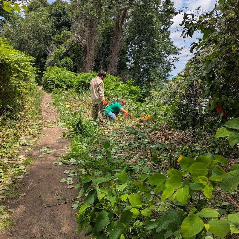 Preference For Sunny Disturbed Areas And Edges