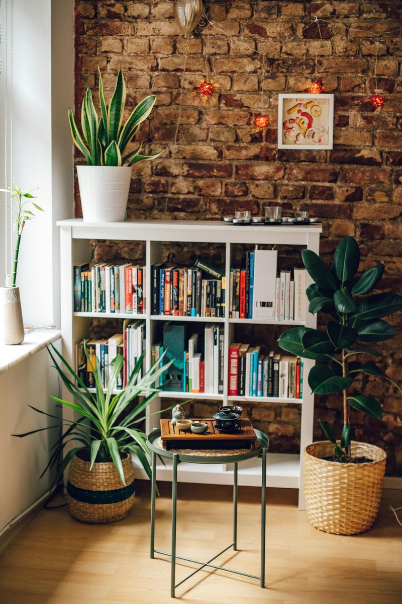 Fiddle-Leaf Fig Fans Love Bold Statements
