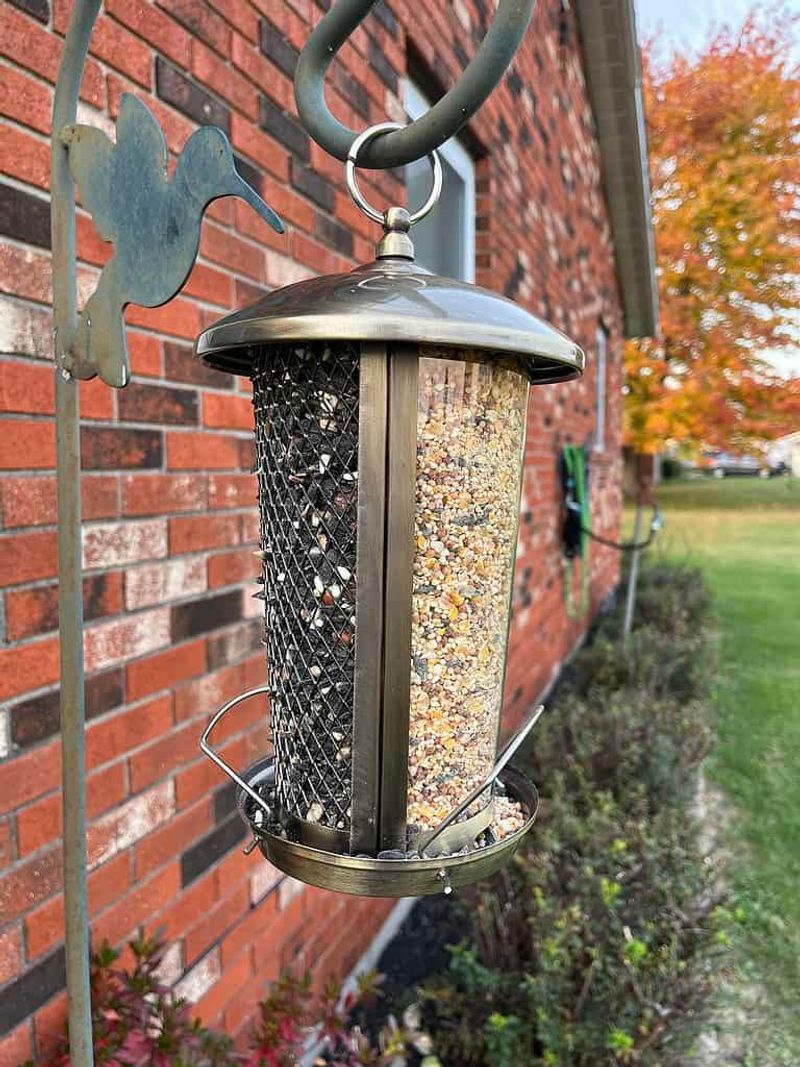 Stable Feeder Schedules Build Feeding Habits