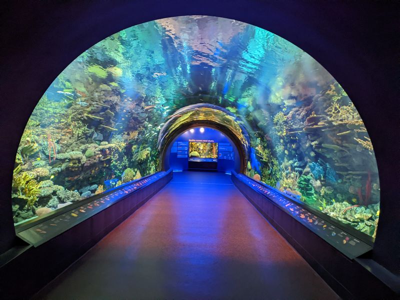 The New York Aquarium's Mangrove Exhibit