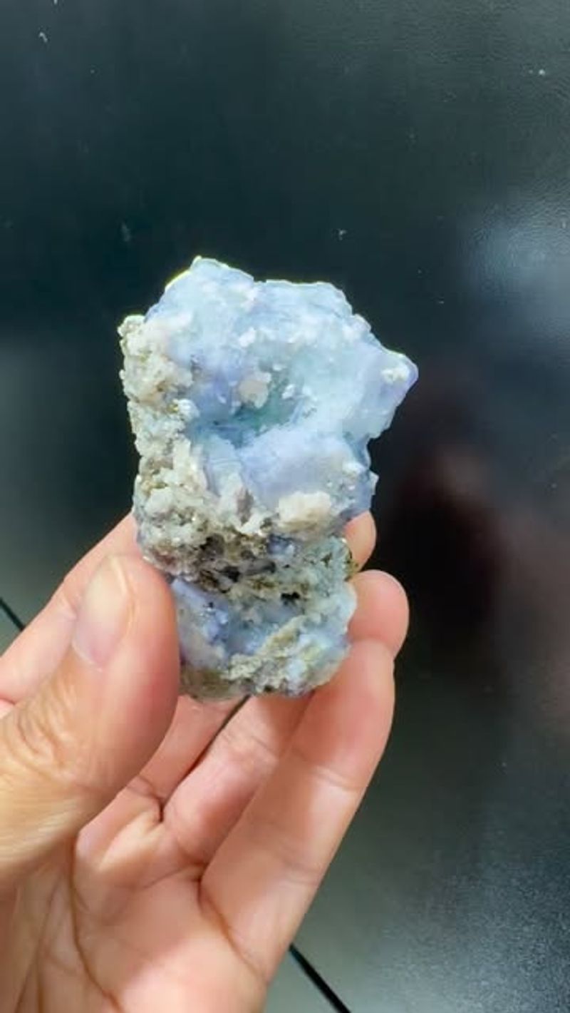 Children Find Wonder In Natural Science Lessons