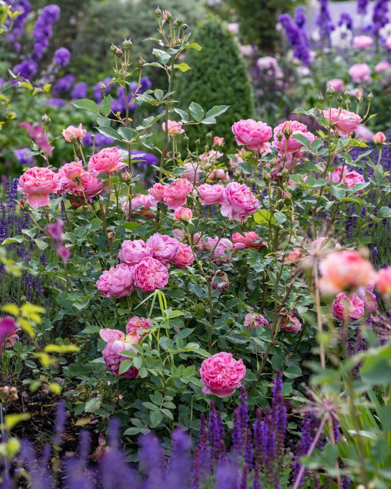 Layered Heights That Build Depth In Every Shot