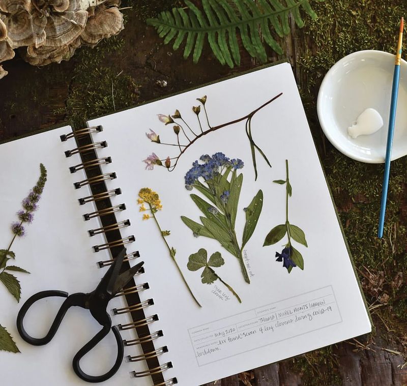 Garden Journaling Captures The Seasonal Journey