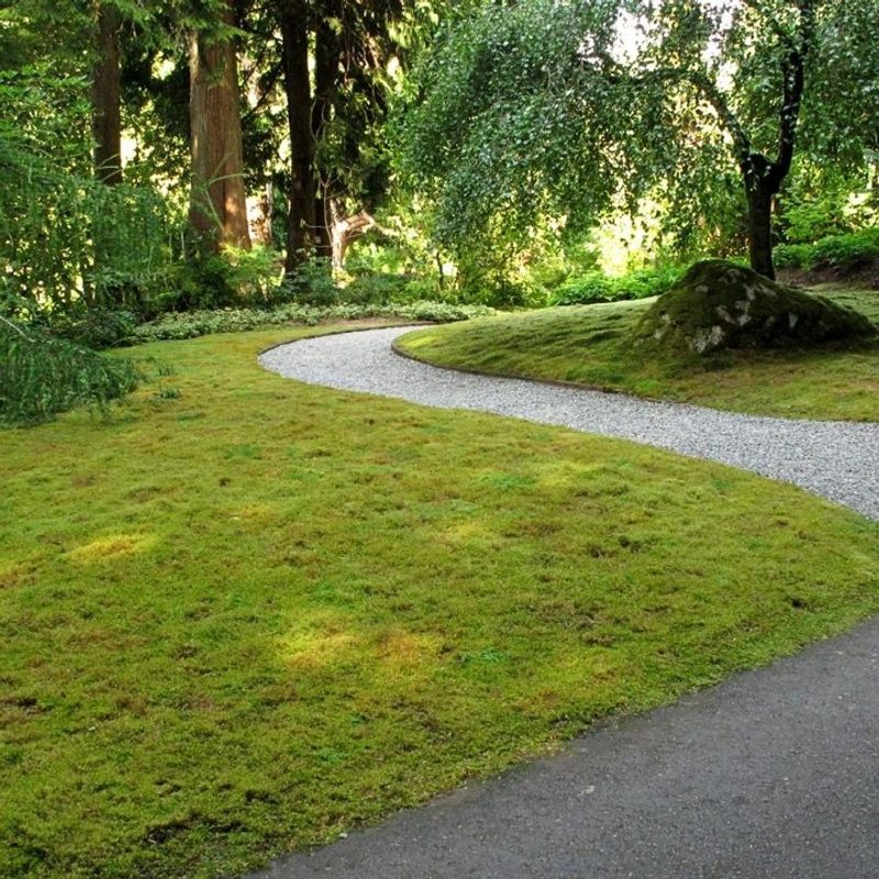 Low Maintenance Saves Money Long-Term