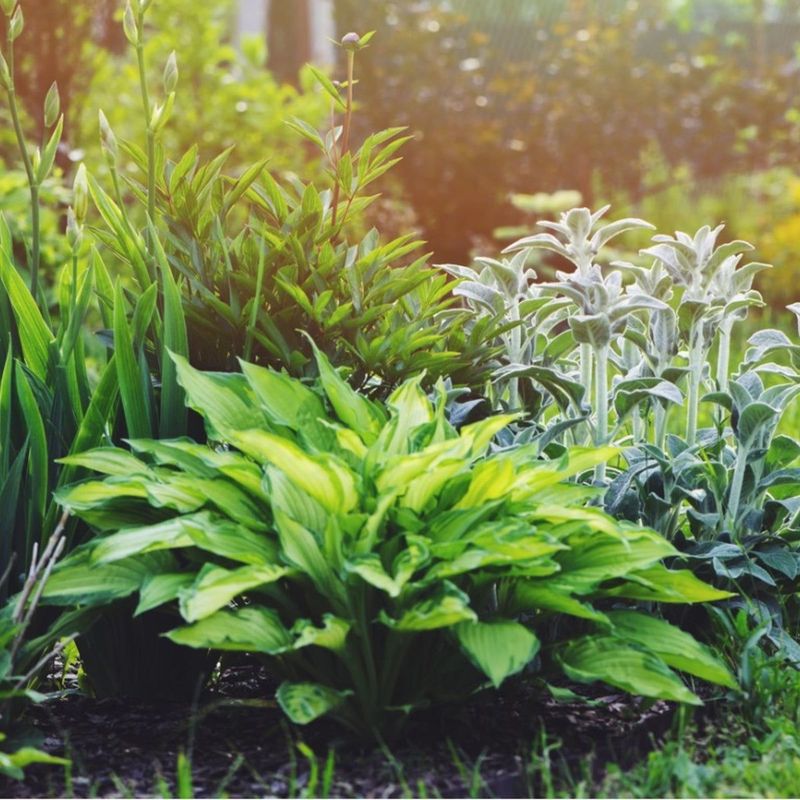 Strategic Grouping Based On Water Needs