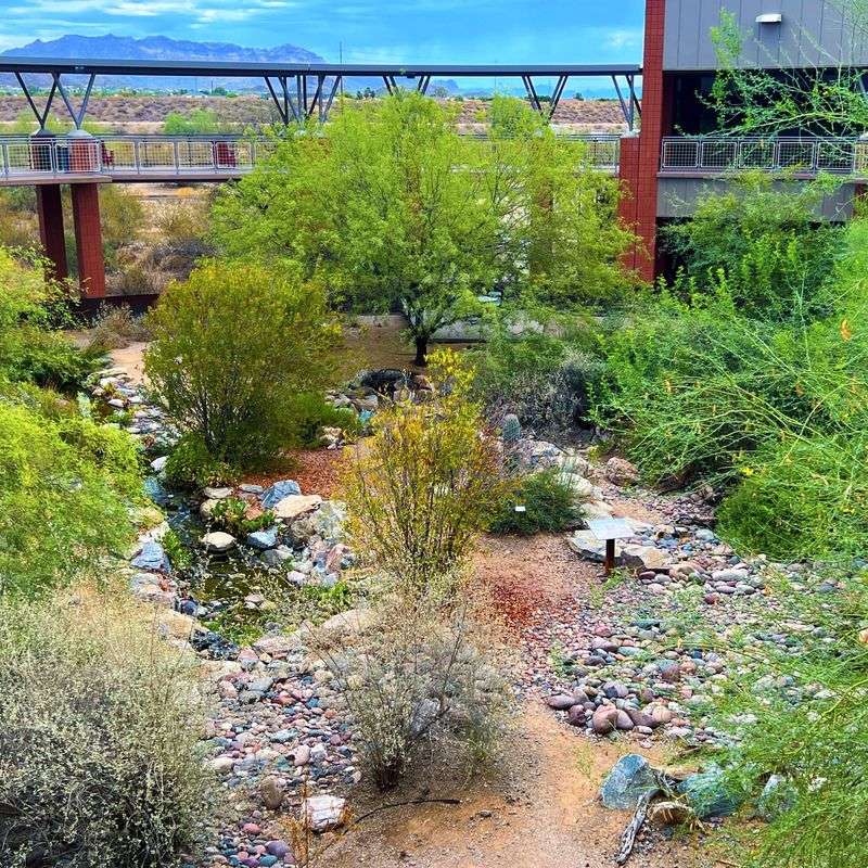 Wildlife Habitat Enriches Your Yard