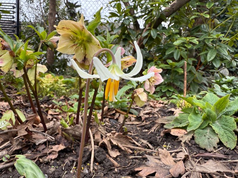 Educational Opportunities Inspire Lifelong Learning