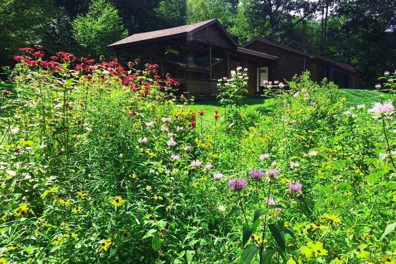 Neighborhood Character Strengthens As Yards Reflect Regional Identity