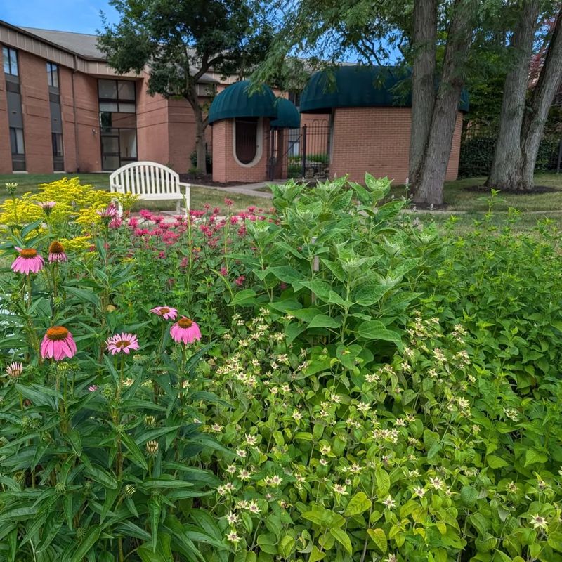 Neighborhood Property Values Rise