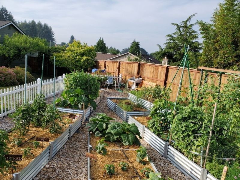 Urban Gardens Need Special Attention and Precautions