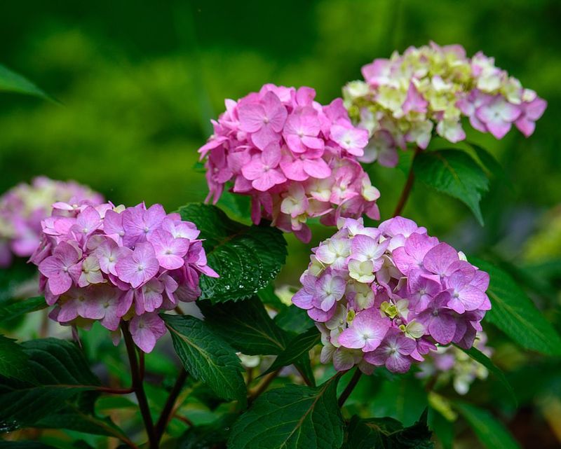 Climate Change Is Altering Rainfall Patterns