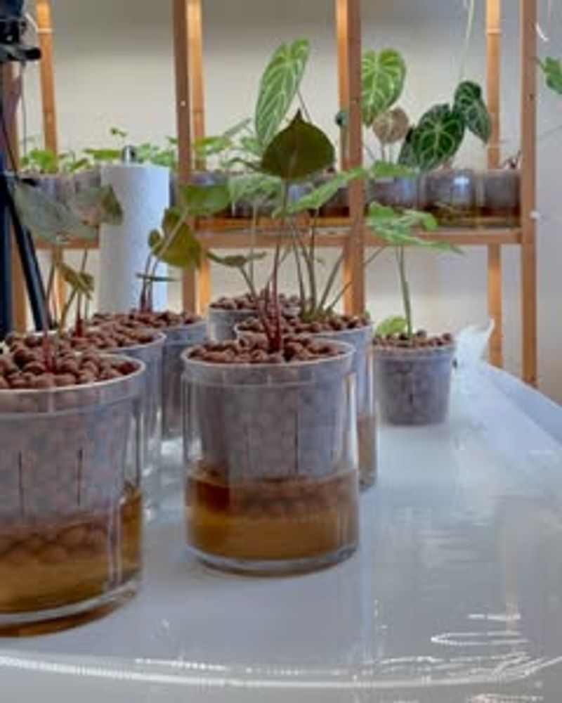 Inspecting Roots Catches Problems Early