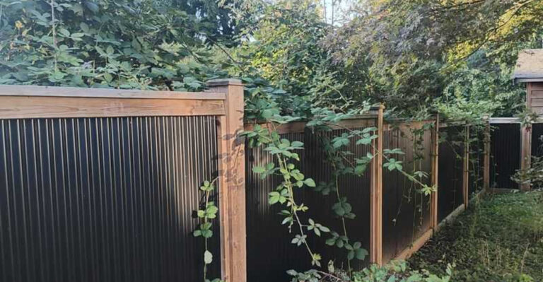 vines over a fence
