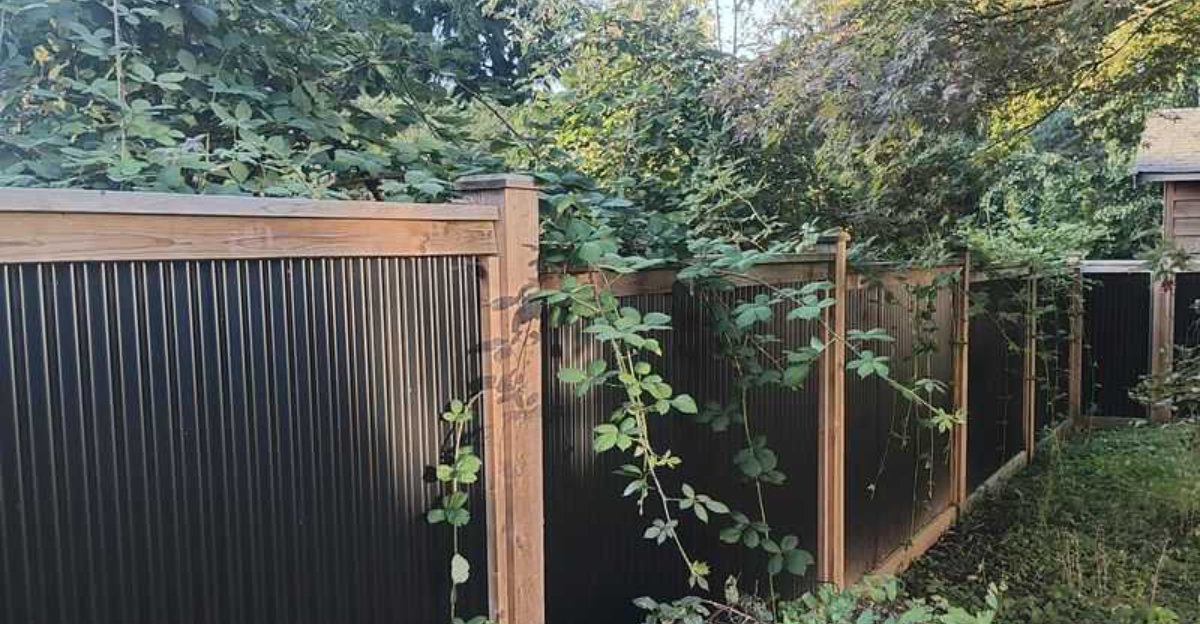 South Carolina Rules About Clearing A Neighbors Vines Over Your Fence