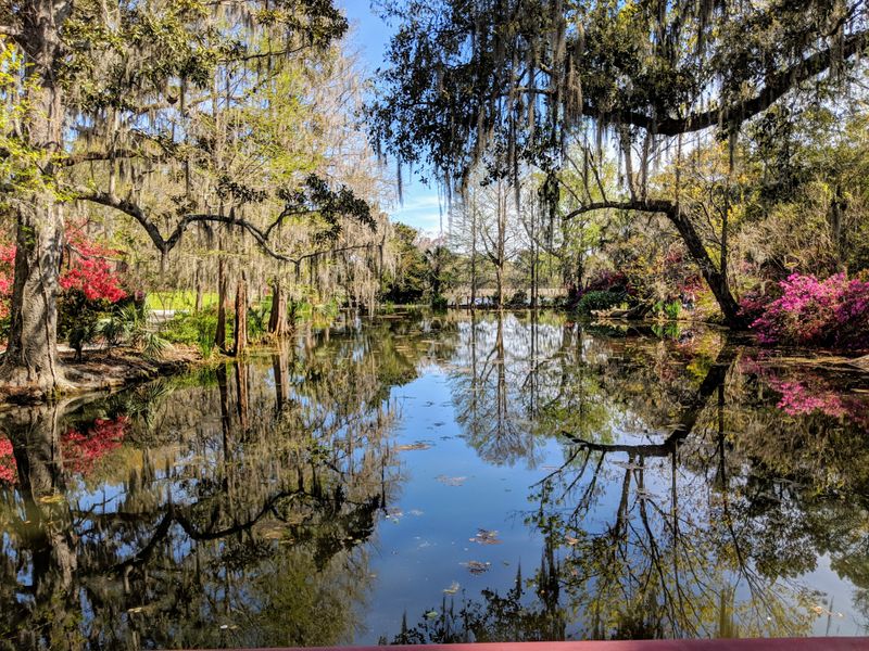 Magnolia Plantation and Gardens