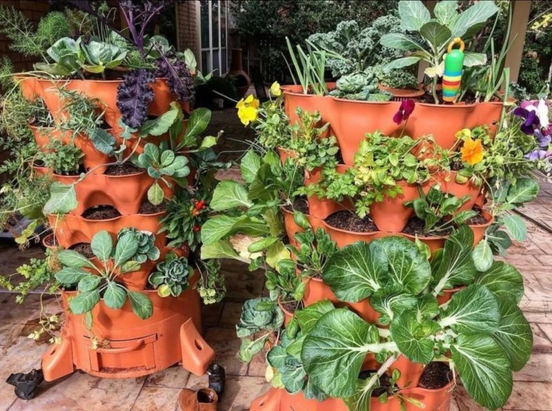 Water Conservation in Hot Texas Climate