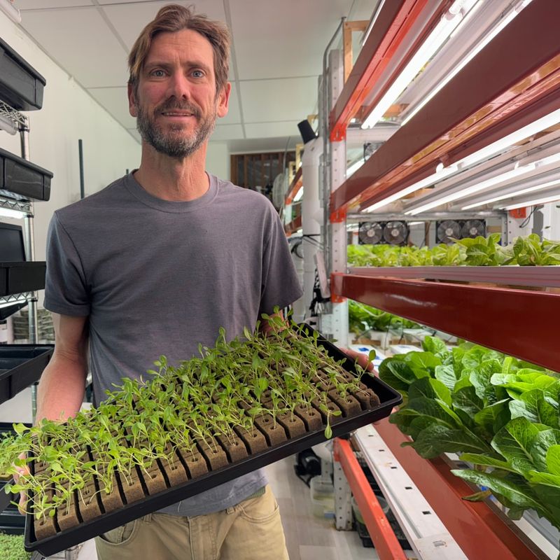 Fresh Produce Available Year-Round