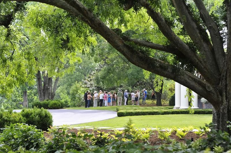 Seasonal Color Changes Creating Dramatic Transformations