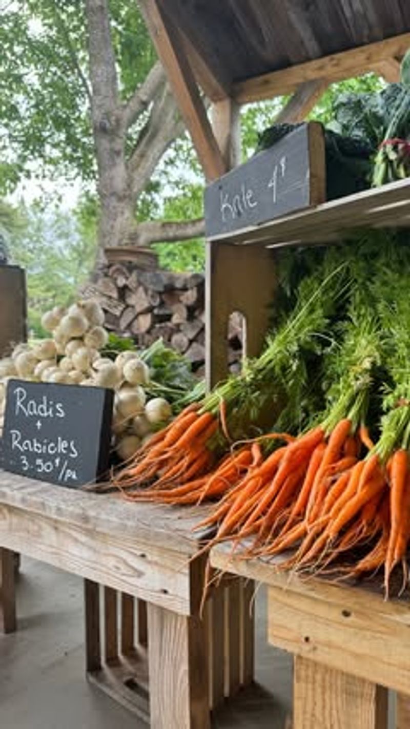 Building Strong Relationships with Reliable Growers