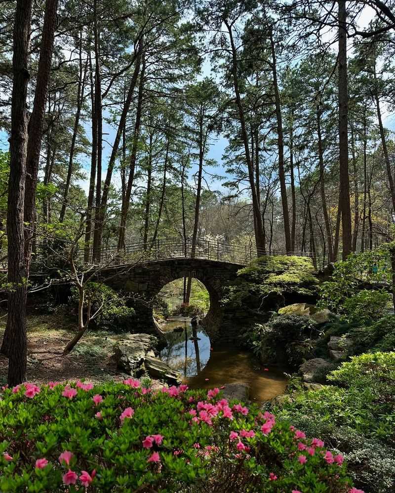 Extensive Woodland Trails for Nature Hiking Enthusiasts