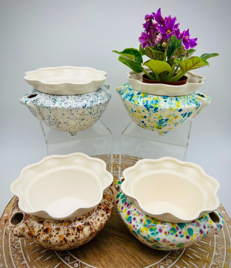 Bowls Of Water Near Plants