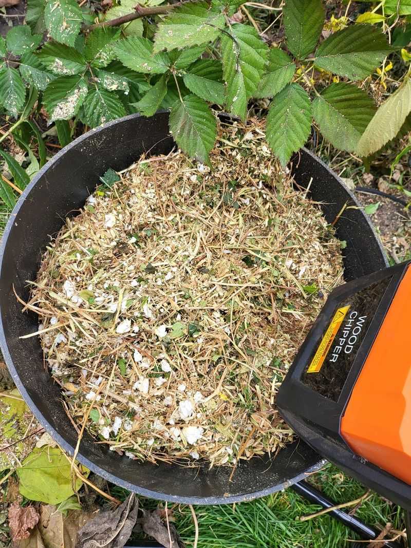 Use Shredded Leaves As Free Mulch And Soil Amendment