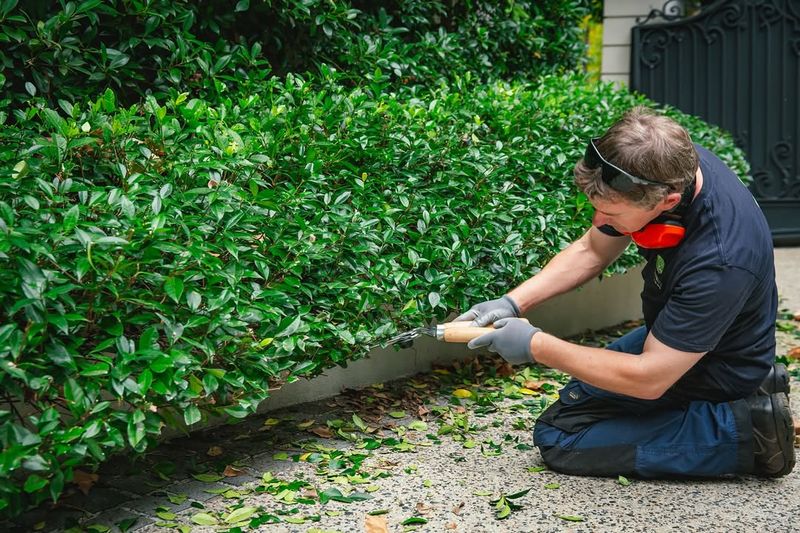 Removing Shelter Encourages Them To Move On